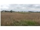 392-394 Rosewood Laidley Road, Lanefield QLD 4340