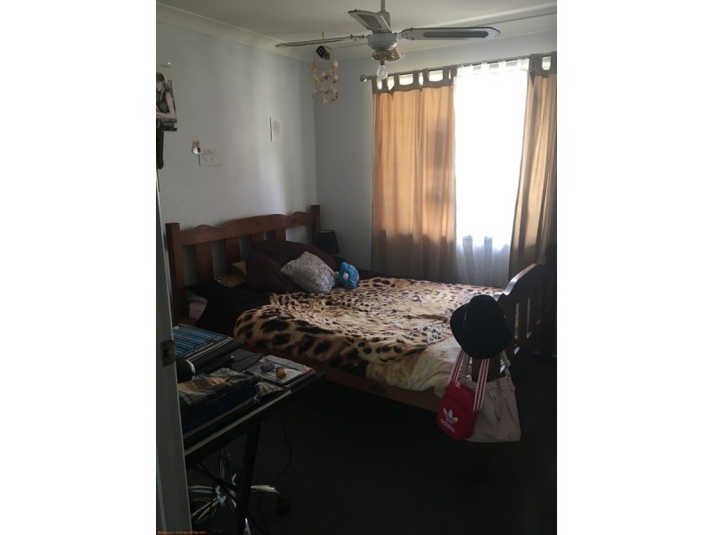 135 Collingwood Drive, Collingwood Park QLD 4301
