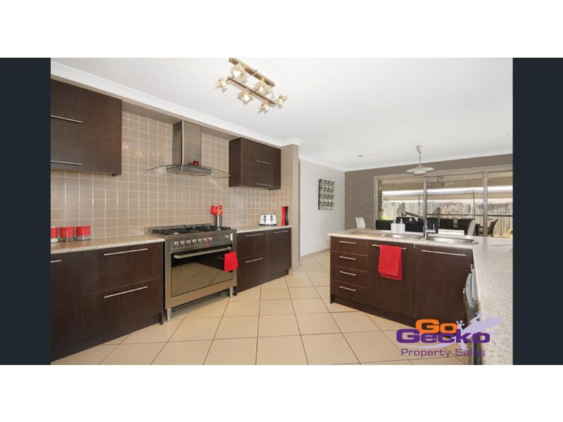 12 Amadeus Circuit, Springfield Lakes QLD 4300