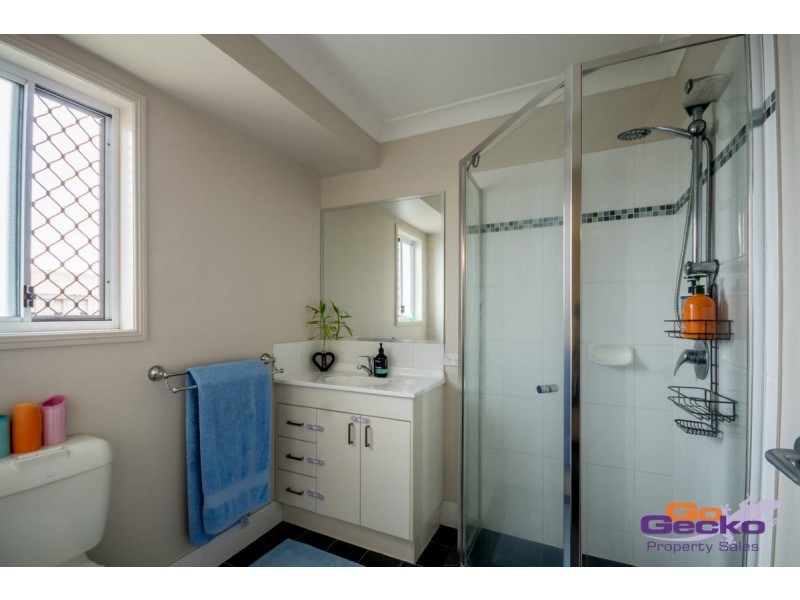 256 Alawoona Street, Redbank Plains QLD 4301