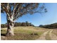 552 Bylong Valley Way, Clandulla NSW 2848