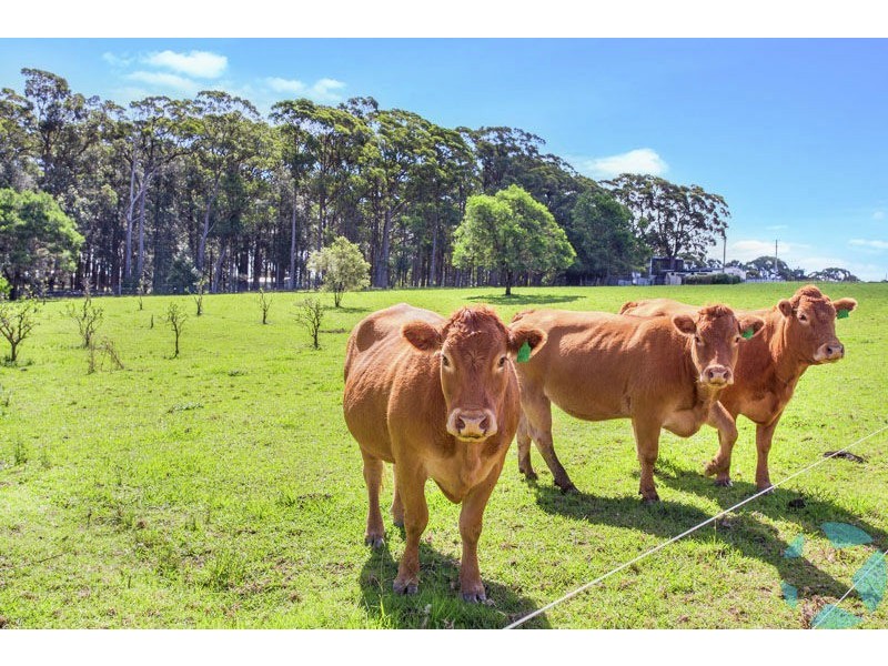 1857 Bells Line of Road, Kurrajong Heights NSW 2758