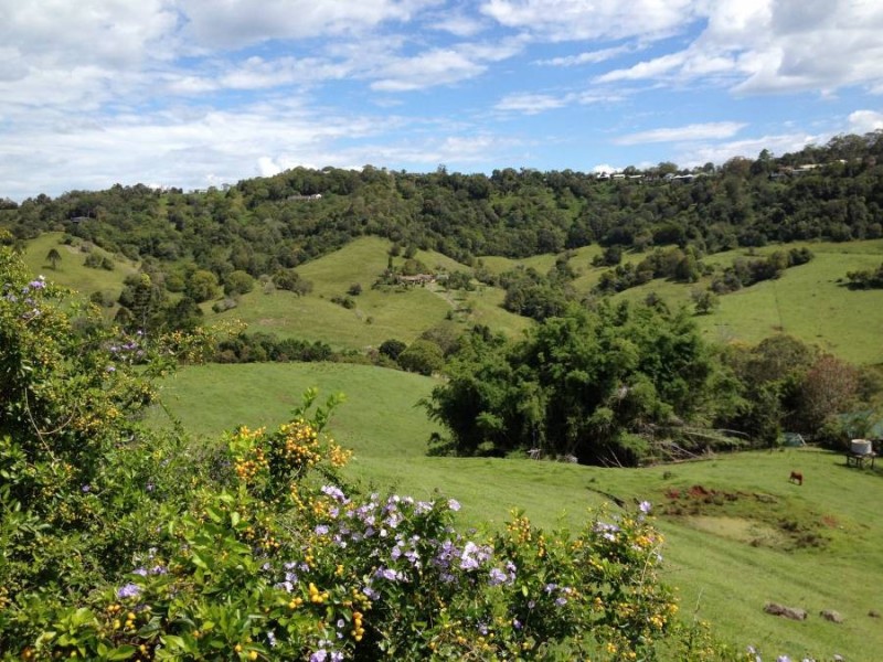 Dulong QLD 4560