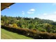 41 Manley Drive, Montville QLD 4560