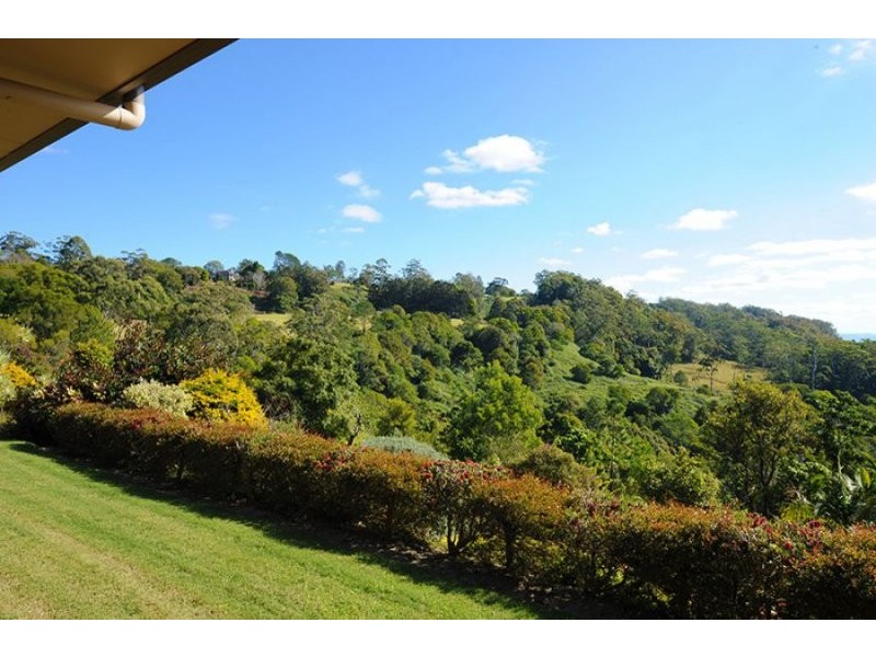 41 Manley Drive, Montville QLD 4560