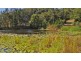 Maroochy River QLD 4561