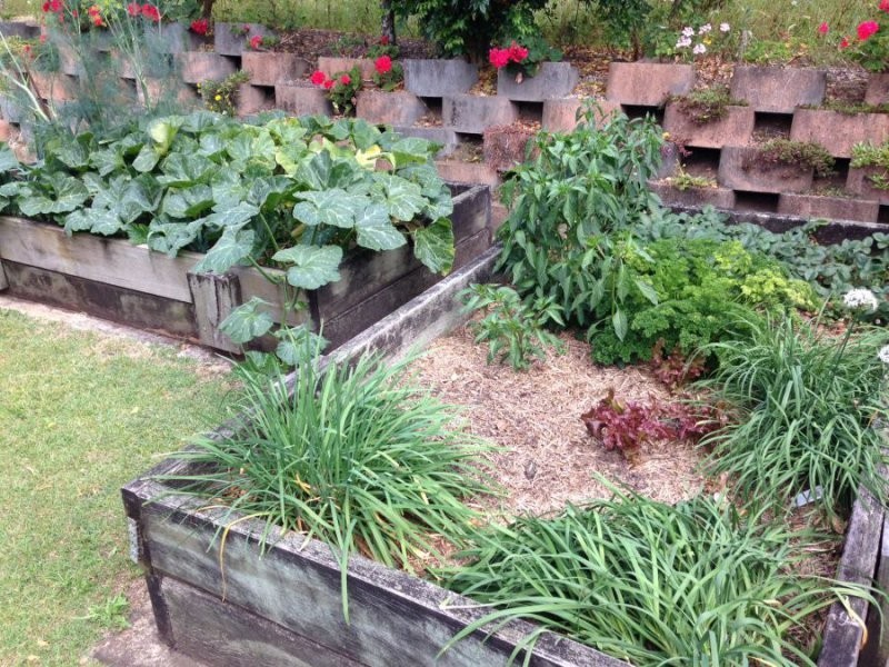 3 McKinnon Dr, Burnside QLD 4560