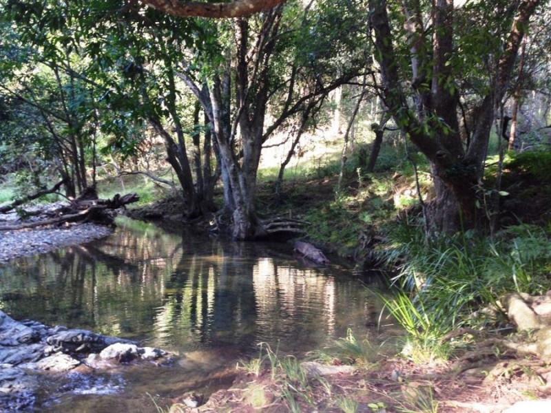 Kidaman Creek QLD 4574