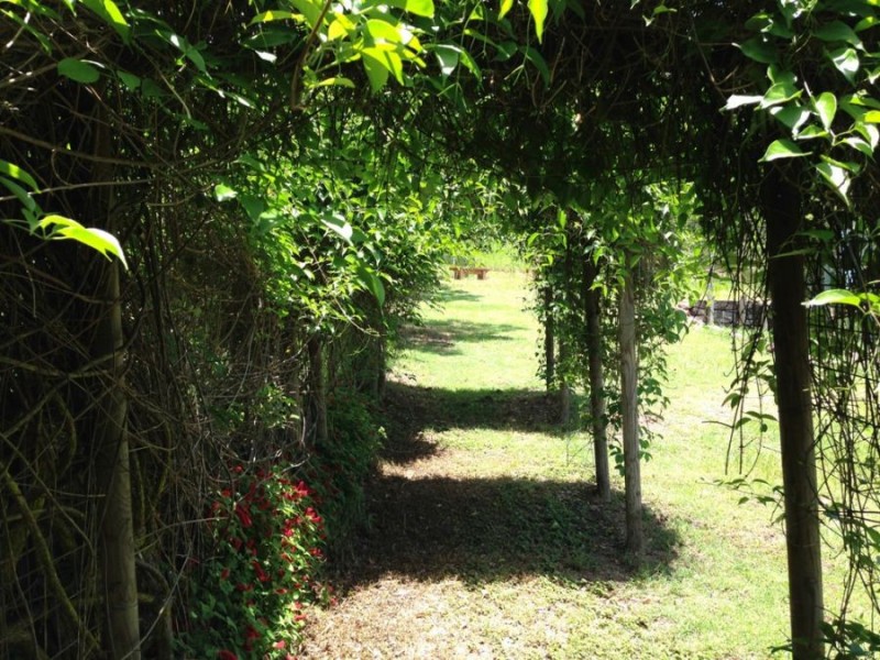 Kidaman Creek QLD 4574