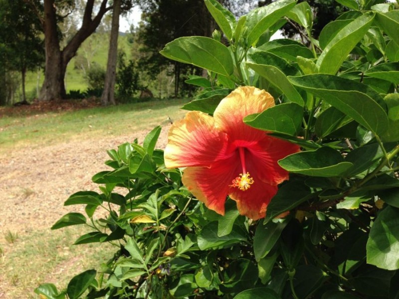 Kidaman Creek QLD 4574