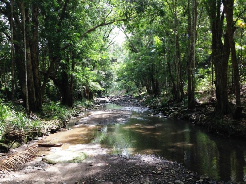 Diamond Valley QLD 4553