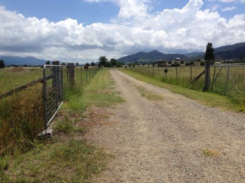 135 Mareeba Road, Parkville NSW 2337