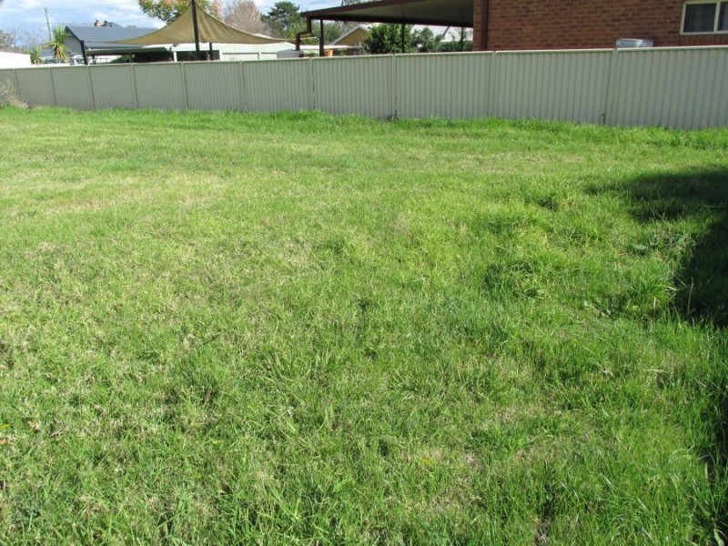 87a Liverpool Street, Scone NSW 2337