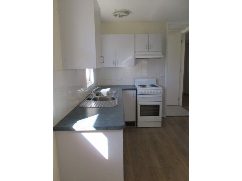 16 Bingle Street, Scone NSW 2337