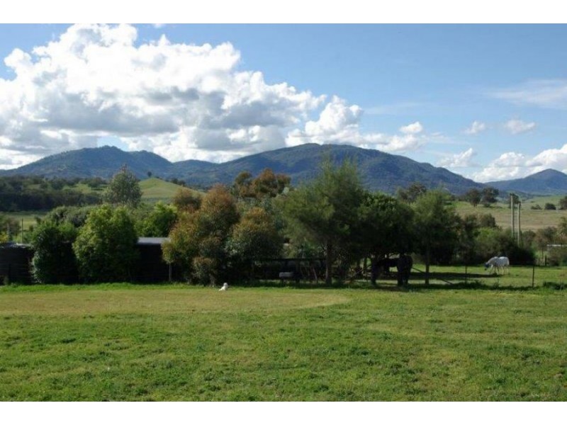 9 Wilson street, Gundy NSW 2337
