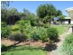 9 Wilson street, Gundy NSW 2337
