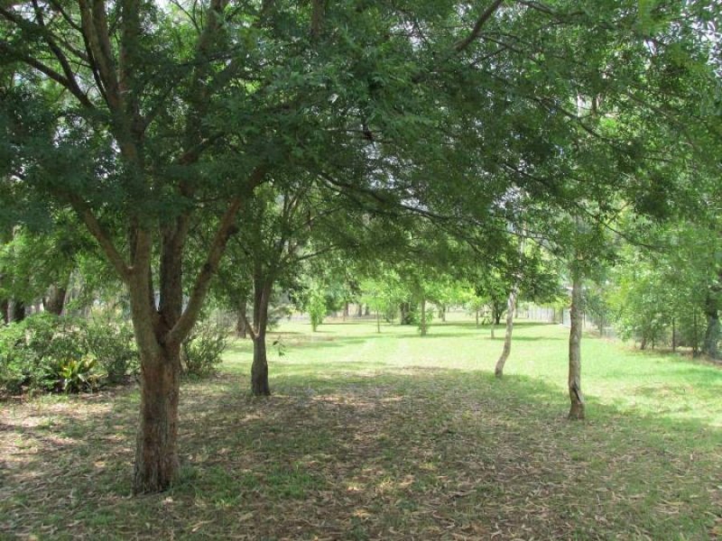 136 Mayne Street, Murrurundi NSW 2338