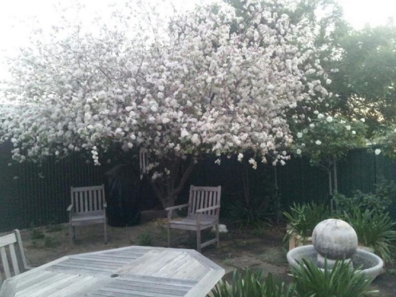 73 Scott Street, Scone NSW 2337