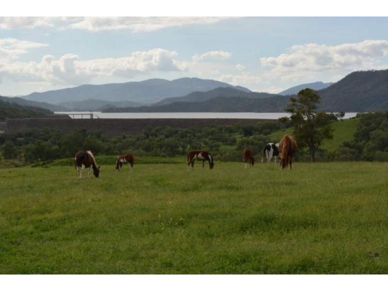 288 FORESHORE ROAD, Scone NSW 2337