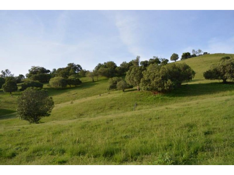 288 FORESHORE ROAD, Scone NSW 2337