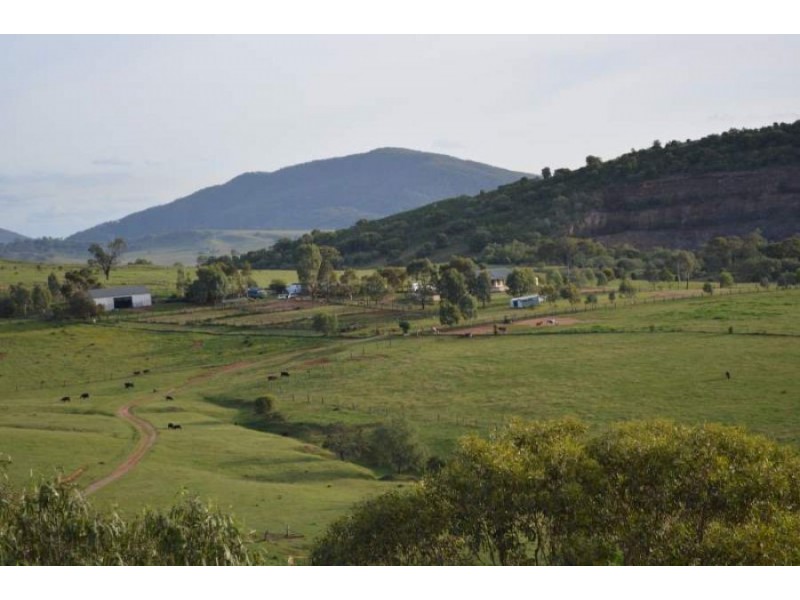 288 FORESHORE ROAD, Scone NSW 2337