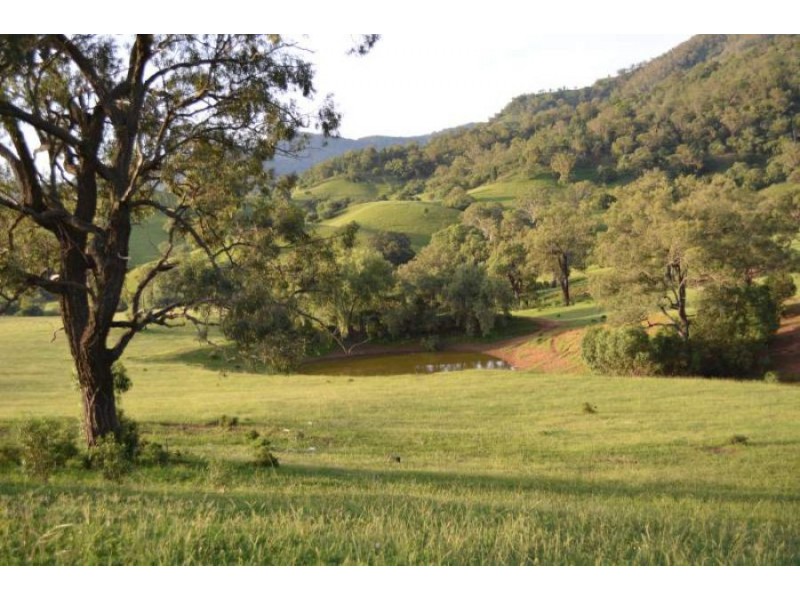 288 FORESHORE ROAD, Scone NSW 2337