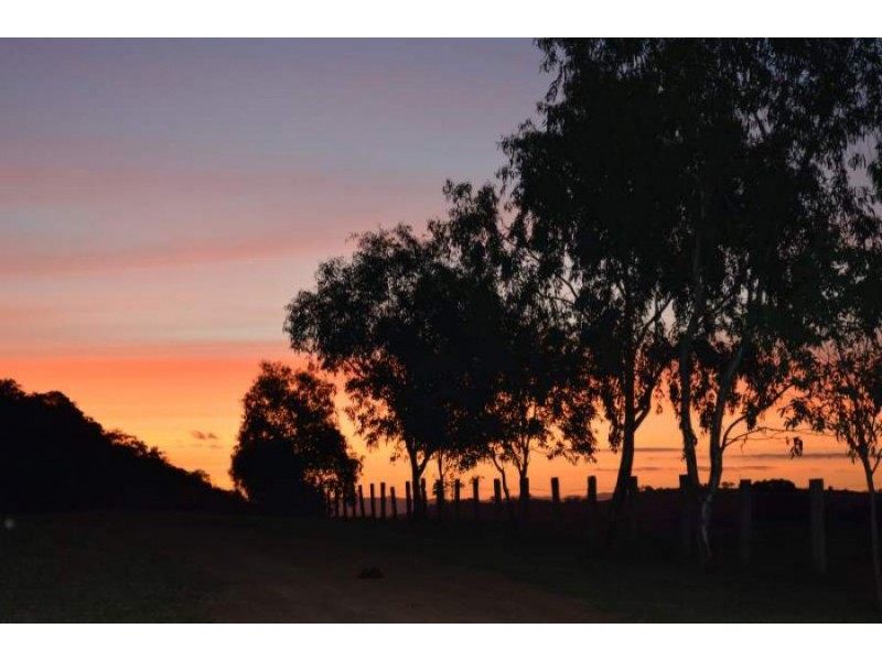 288 FORESHORE ROAD, Scone NSW 2337