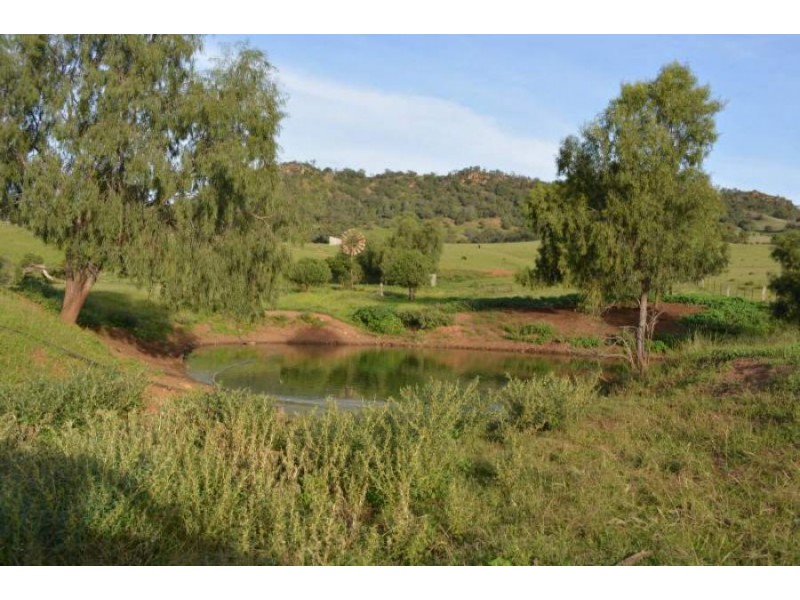 288 FORESHORE ROAD, Scone NSW 2337