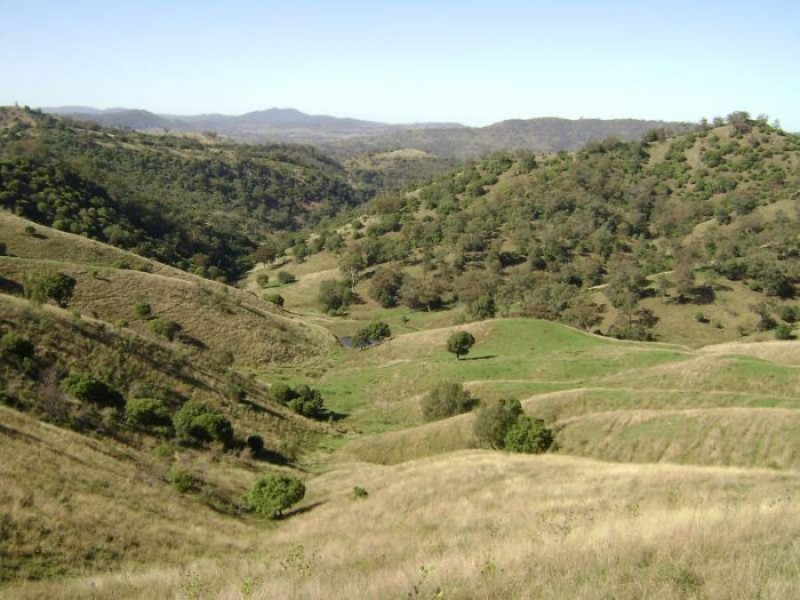 1999 “HOLLINGVALE”  ROUCHEL ROAD, Scone NSW 2337