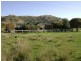 1999 “HOLLINGVALE”  ROUCHEL ROAD, Scone NSW 2337