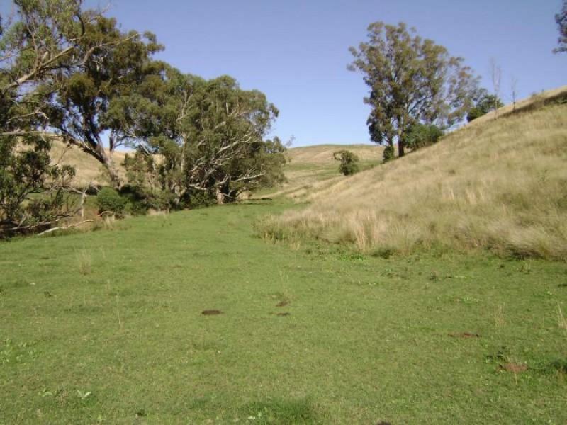 1999 “HOLLINGVALE”  ROUCHEL ROAD, Scone NSW 2337
