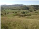 1999 “HOLLINGVALE”  ROUCHEL ROAD, Scone NSW 2337