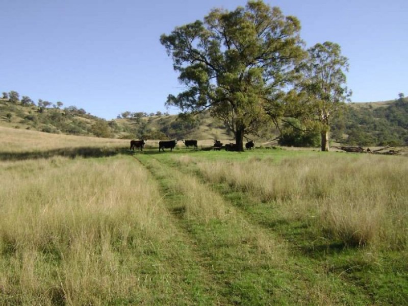 1999 “HOLLINGVALE”  ROUCHEL ROAD, Scone NSW 2337