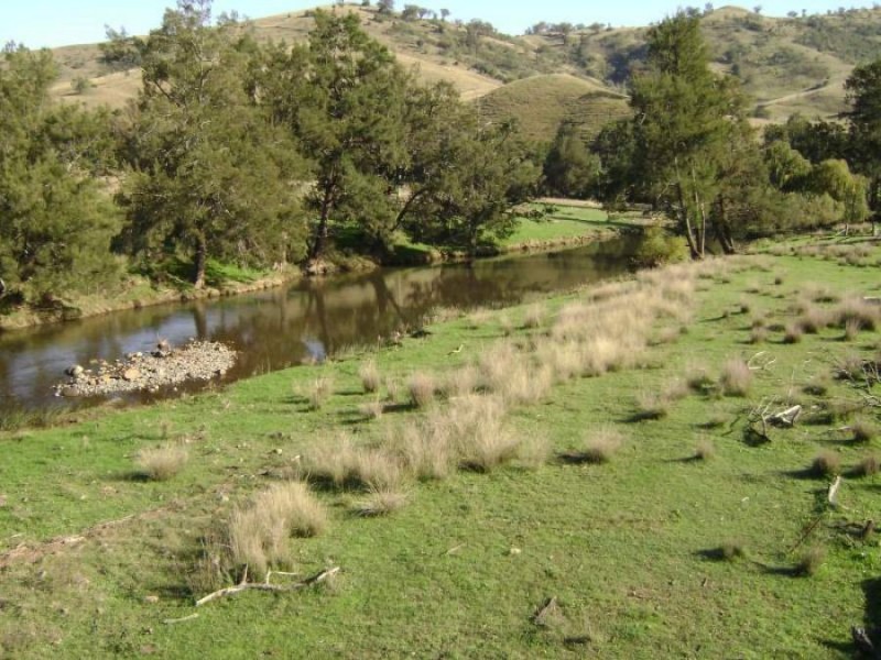 1999 “HOLLINGVALE”  ROUCHEL ROAD, Scone NSW 2337