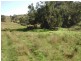 1999 “HOLLINGVALE”  ROUCHEL ROAD, Scone NSW 2337