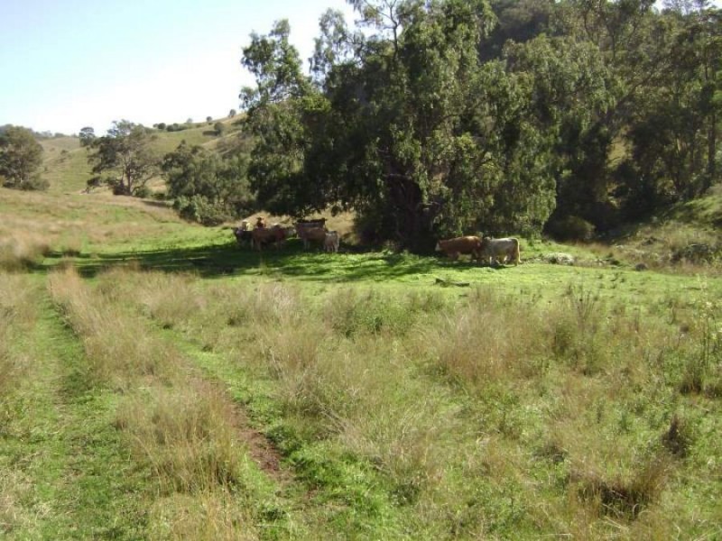1999 “HOLLINGVALE”  ROUCHEL ROAD, Scone NSW 2337