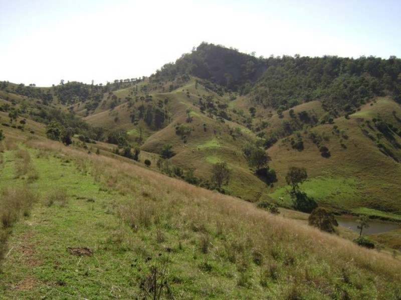 1999 “HOLLINGVALE”  ROUCHEL ROAD, Scone NSW 2337