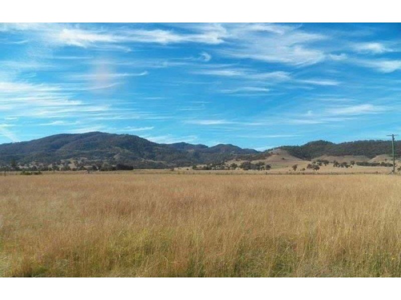 135 Mareeba Road, Scone NSW 2337