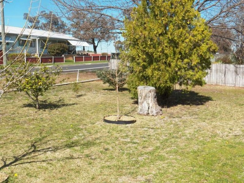 19 Koala Street, Scone NSW 2337
