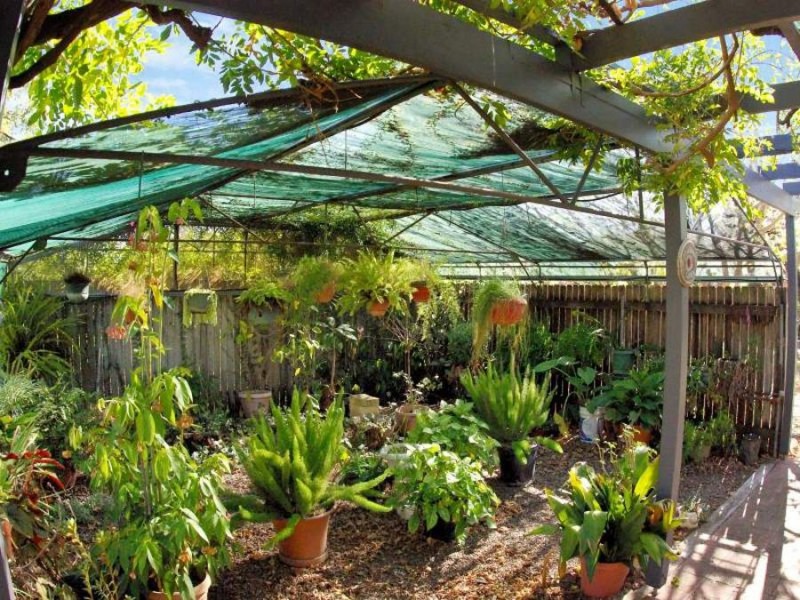 132 Susan Street, Scone NSW 2337