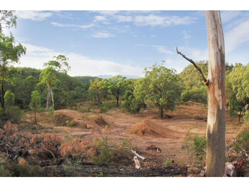 1392 Bunnan Road, Scone NSW 2337