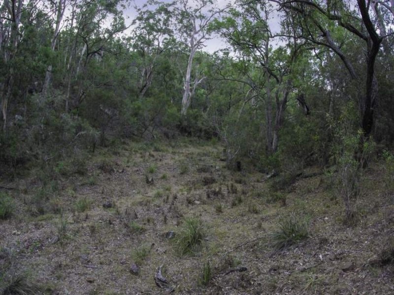 1392 Bunnan Road, Scone NSW 2337