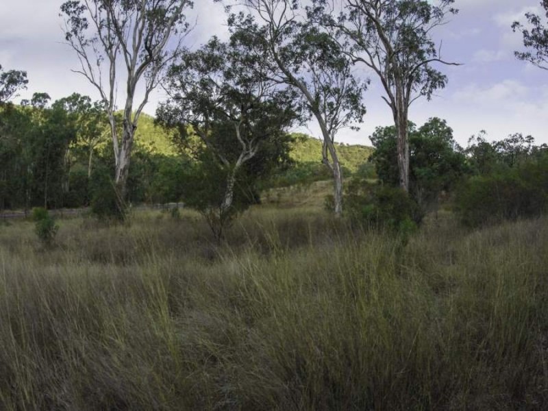 1392 Bunnan Road, Scone NSW 2337