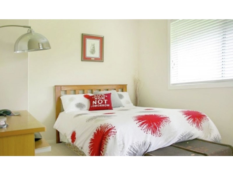 141 Segenhoe Street, Aberdeen NSW 2336