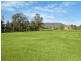 29 Liverpool Street, Scone NSW 2337