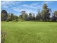 29 Liverpool Street, Scone NSW 2337