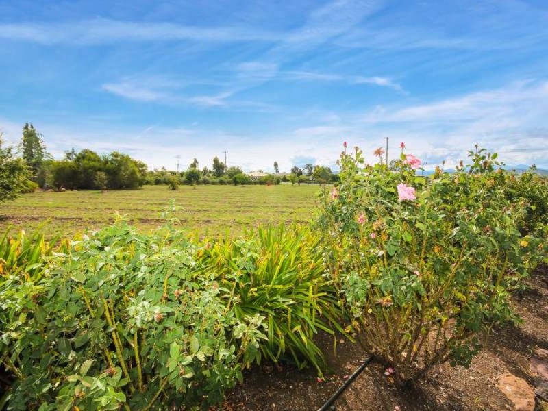 111 Moobi Road, Scone NSW 2337