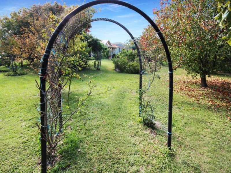 4 Stanstead Close, Scone NSW 2337