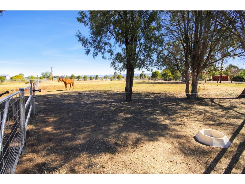 46 Mareeba Road, Scone NSW 2337