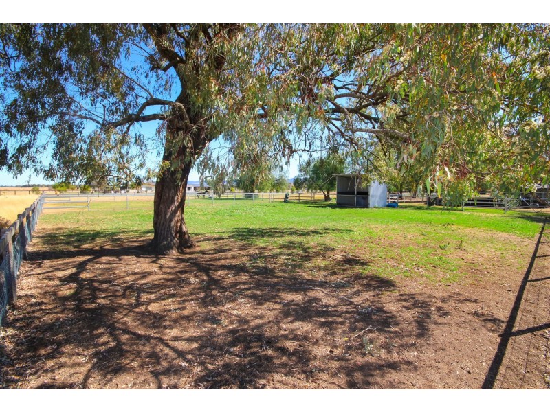 46 Mareeba Road, Scone NSW 2337